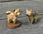Miniatyyrikoiria: pystykorva ja saksanpaimenkoira, 2013