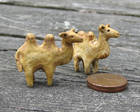 Miniatyyrikamelit, 2013