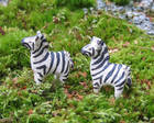 Seeproja miniatyyrikoossa, 2012