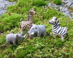 Miniatyyrieläimiä Afrikasta, 2012
