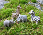 Miniatyyrieläimiä Afrikasta, 2012